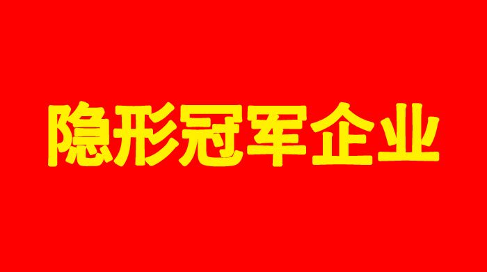 武汉仕全兴聚氨酯科技有限公司荣获“咸宁市支柱产业细分领域隐形冠军企业称号”